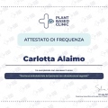 Ingrandire l'immagine: certificate 1