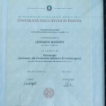 Ingrandire l'immagine: certificate 3