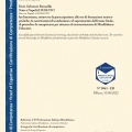 Ingrandire l'immagine: certificate 8