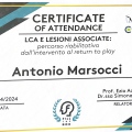 Ingrandire l'immagine: certificate 12