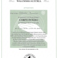 Ingrandire l'immagine: certificate 1