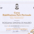 Ingrandire l'immagine: certificate 4