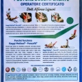 Ingrandire l'immagine: certificate 10