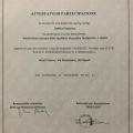Ingrandire l'immagine: certificate 6