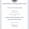 Ingrandire l'immagine: certificate 2