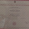 Ingrandire l'immagine: certificate 2
