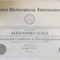 Ingrandire l'immagine: certificate 10