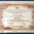 Ingrandire l'immagine: certificate 1