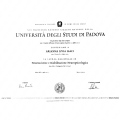 Ingrandire l'immagine: certificate 3