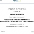 Ingrandire l'immagine: certificate 7
