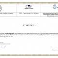 Ingrandire l'immagine: certificate 2