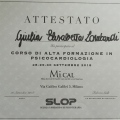 Ingrandire l'immagine: certificate 1