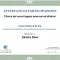 Ingrandire l'immagine: certificate 4