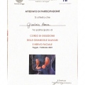 Ingrandire l'immagine: certificate 5