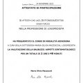 Ingrandire l'immagine: certificate 1