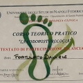 Ingrandire l'immagine: certificate 4