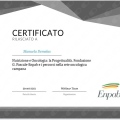 Ingrandire l'immagine: certificate 9
