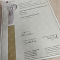 Ingrandire l'immagine: certificate 1