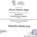 Ingrandire l'immagine: certificate 3