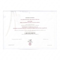 Ingrandire l'immagine: certificate 2