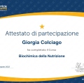 Ingrandire l'immagine: certificate 11