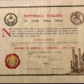 Ingrandire l'immagine: certificate 1