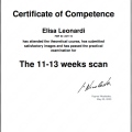 Ingrandire l'immagine: certificate 15