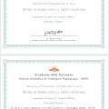 Ingrandire l'immagine: certificate 1