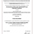 Ingrandire l'immagine: certificate 26