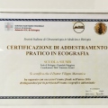 Ingrandire l'immagine: certificate 7