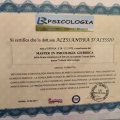 Ingrandire l'immagine: certificate 4