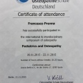 Ingrandire l'immagine: certificate 9
