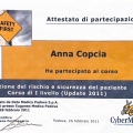 Ingrandire l'immagine: certificate 7