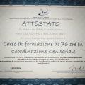 Ingrandire l'immagine: certificate 6