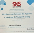 Ingrandire l'immagine: certificate 10
