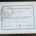 Ingrandire l'immagine: certificate 4