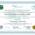 Ingrandire l'immagine: certificate 6