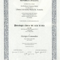 Ingrandire l'immagine: certificate 1