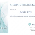 Ingrandire l'immagine: certificate 1