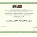 Ingrandire l'immagine: certificate 11
