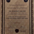 Ingrandire l'immagine: certificate 1