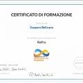 Ingrandire l'immagine: certificate 10