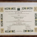 Ingrandire l'immagine: certificate 1