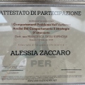 Ingrandire l'immagine: certificate 5