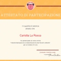Ingrandire l'immagine: certificate 3