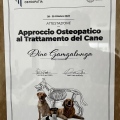Ingrandire l'immagine: certificate 6