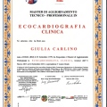 Ingrandire l'immagine: certificate 1