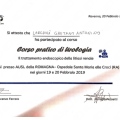 Ingrandire l'immagine: certificate 1