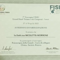 Ingrandire l'immagine: certificate 4