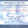 Ingrandire l'immagine: certificate 5